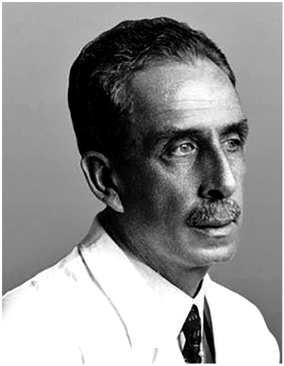cadeira 18