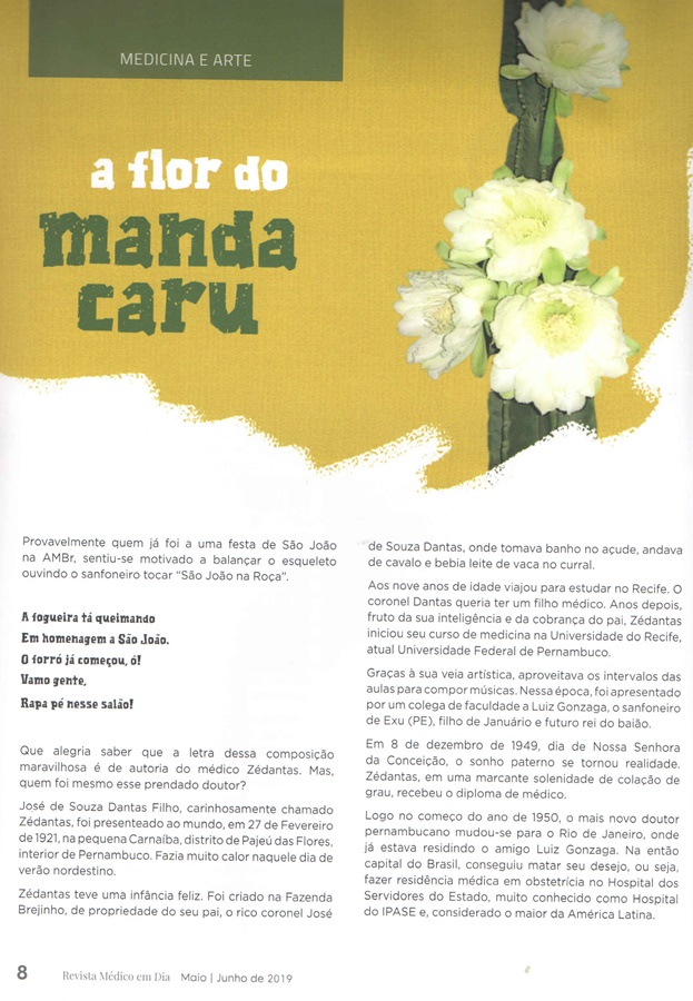 medicina&arte   flor de mandacaru