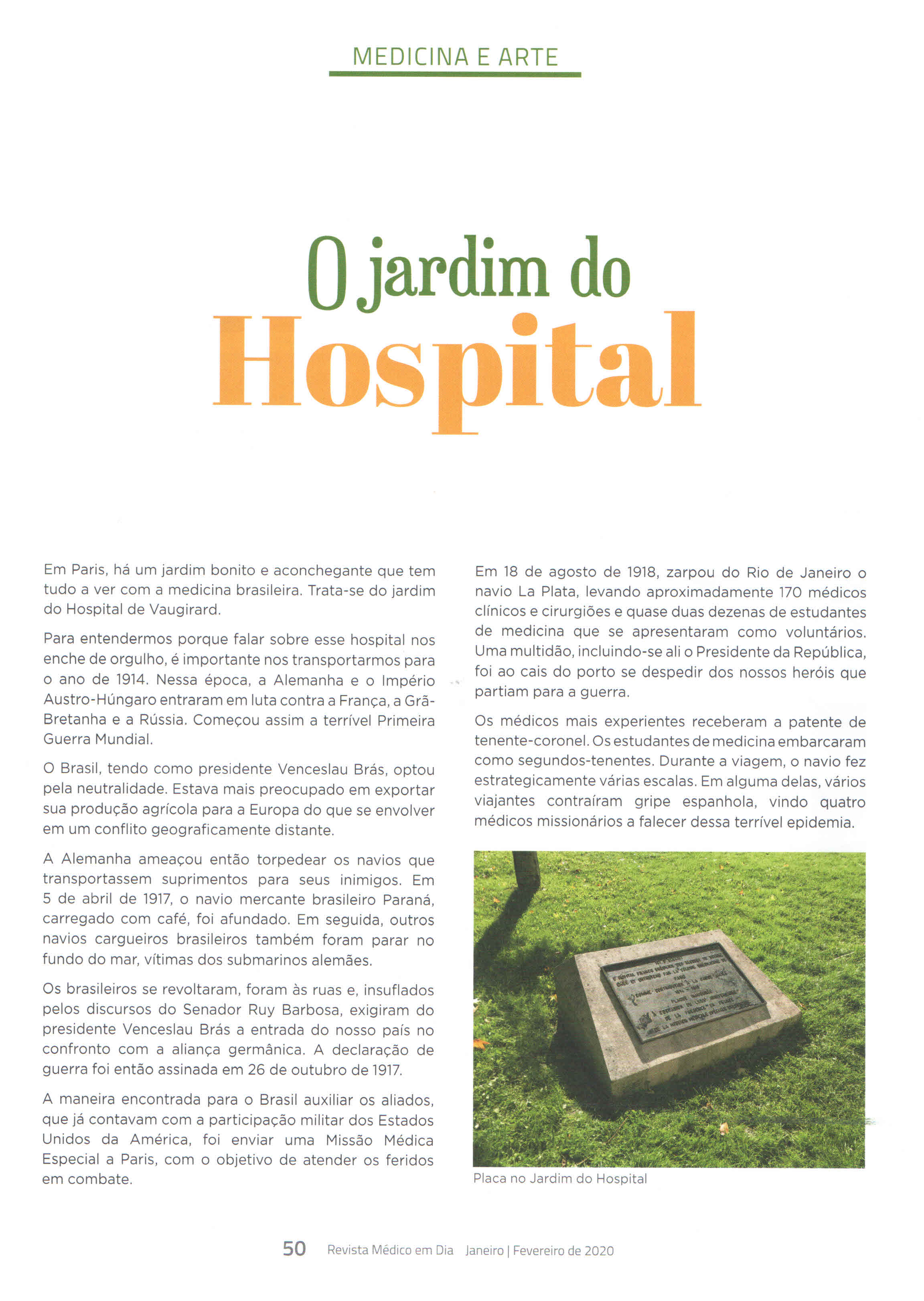 medicina&arte   o jardim do hospital